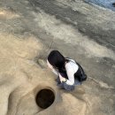 동일하모로220번길 이미지