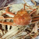 동해월드펜션 이미지