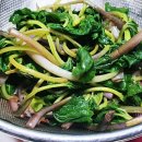 채수면 농장 이미지