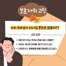 경주시 치매상담센터 이미지