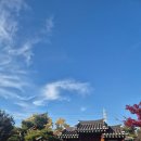 광주향교 관광안내소 | 하남 단풍 명소 500년 은행나무가 멋진 광주향교