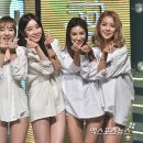 스텔라 이미지