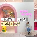 국립공주박물관 | 공주 실내 가볼만한곳 국립공주박물관 어린이 예약 방문후기