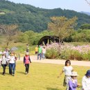 반구정습지 이미지