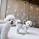 오션유치원 이미지