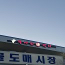 신안@ | 안양 수산시장 맛집 레전드 대광어회 신안수산 후기
