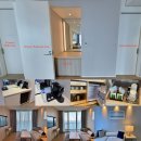 세븐일레븐 언양그린파크점 | 롯데리조트 속초 호텔동 슈페리어 스위트 (2 베드룸, 거실, 2 욕실, 오션 뷰) 811호 객실 리뷰 숙박 후기