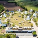 서성일로 이미지