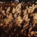 두모해변 이미지