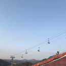 양지파인리조트 이미지