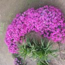 풍기읍행정복지센터 이미지