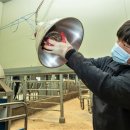 한우사육사 이미지