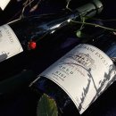 지케이 인터네셔널 이미지