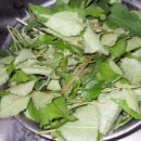 수인농장 이미지