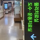 큐핸즈 | 피아노 손목 아파요 큐핸즈 손목 보호대 후기 손목 통증