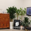 경희이지한의원 이미지