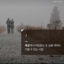 코~오 자자 이미지