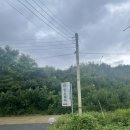 멍나들이 | 애견운동장 주말 나들이 : 멍스퀘어 일산점 특대형 이용후기