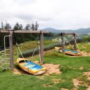 한땀목장 이미지