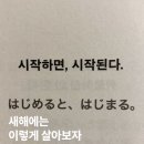 커핀테라 이미지