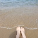 미니스톱 강릉사천점 | 올해도 다시 여기 강릉 금진해변