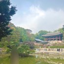 영화당약국 | 나들이 창덕궁, 창덕궁 후원 현장 구매 관람 / 어니언 안국 / 관훈 맨션 / 태극당 인사동점 / 보령약국