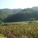 평창목욕탕 이미지