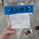 적십자약국 | 서울적십자병원 순환기내과 2 (기립경사검사 후기)