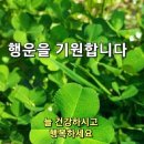 애니골43번길 이미지