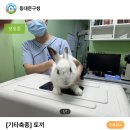 GD동물병원 이미지