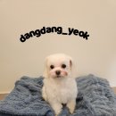 해피미용실 이미지