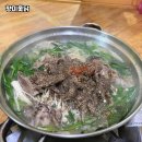 모치골옻닭.옻오리전문 | 용인 맛집의 최고봉! 향미옻닭 소개