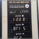 예동물병원 | 올리몰스동물메디컬센터, 전주에서 만난 믿음직한 동물병원 후기!