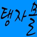탱자몰 이미지