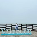용인 근처 바다 제부도 | 제부도 해안산책로, 제부빨간등대 가족 나들이 추천