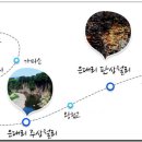 차탄천주상절리길 이미지