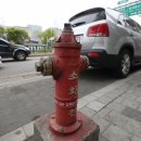 주정차55 이미지