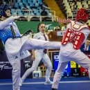 한국체대국제태권도 이미지