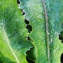 서리내농장 이미지