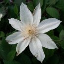 무지개횟집 이미지