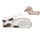 소노펫 동물병원 이미지