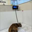 배방동물병원 이미지