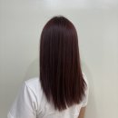 레드플랜 네이버블로그