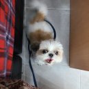 해뜨는 동물병원 해질녘책방 이미지