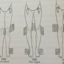 필라테스(근력운동/야간) 이미지
