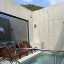 베지아웃 이미지