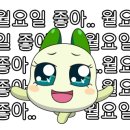 난나헤어 이미지