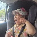 해븐 | 용인 아이랑 동물 먹이주기 체험 농장 해븐온어스 직접 방문후기