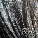 댕기머리2 이미지