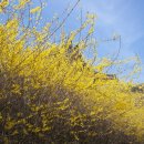 금산서원 이미지